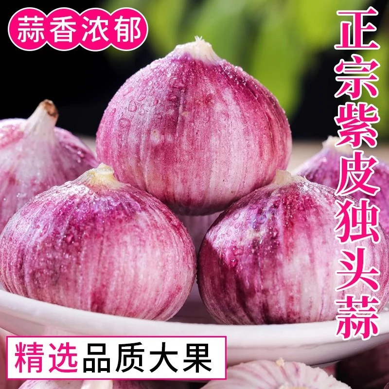 2026新鲜3斤农家自种新挖紫皮独头蒜鲜蒜大蒜头饱满紧实炒菜调味