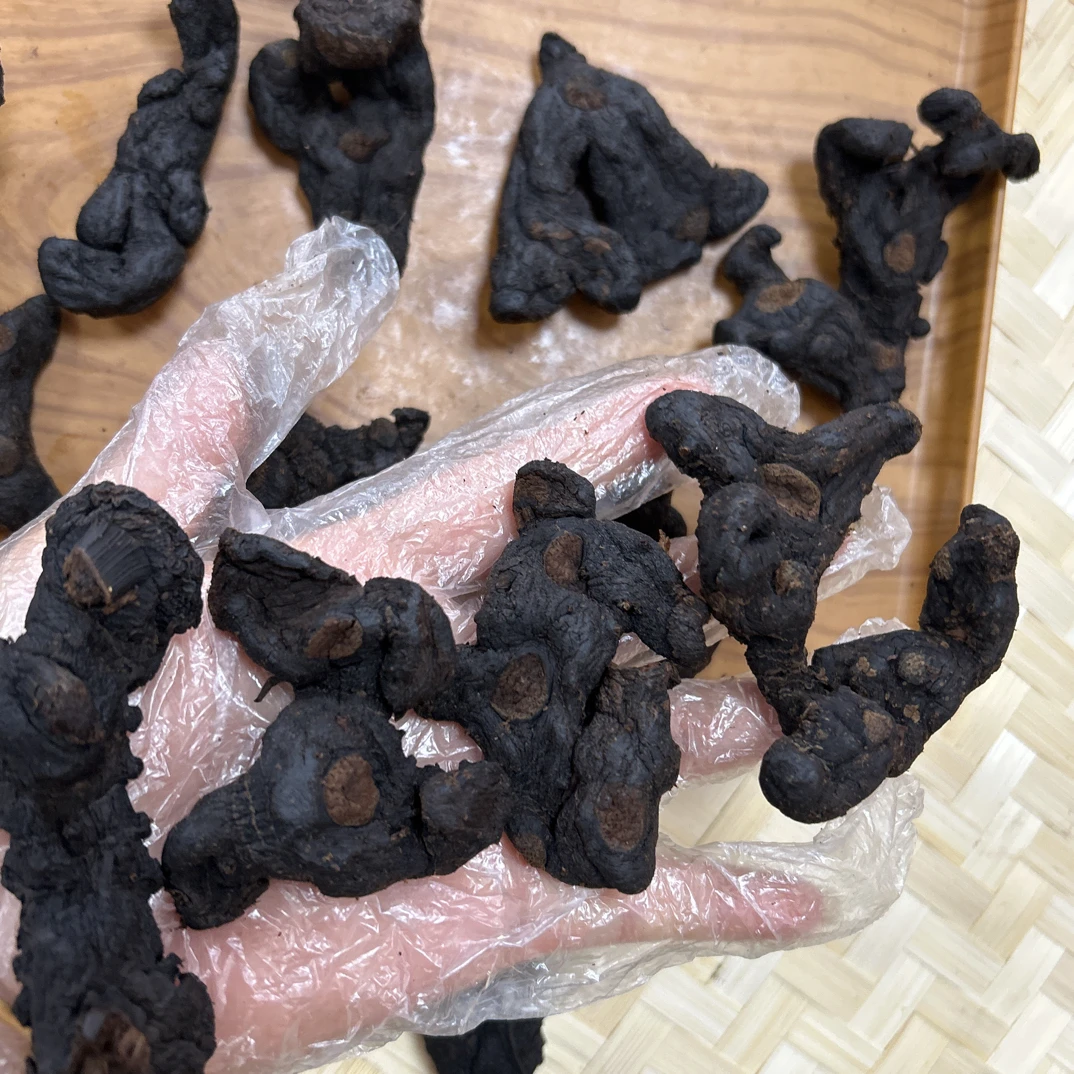 九蒸九晒原味断节货泡茶煲汤滋补品