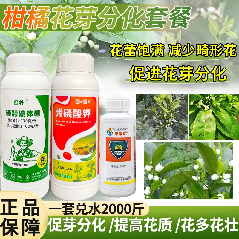 柑橘花芽分化套餐叶面肥烯磷酸钾控梢促芽分化壮花抗逆生长水溶肥