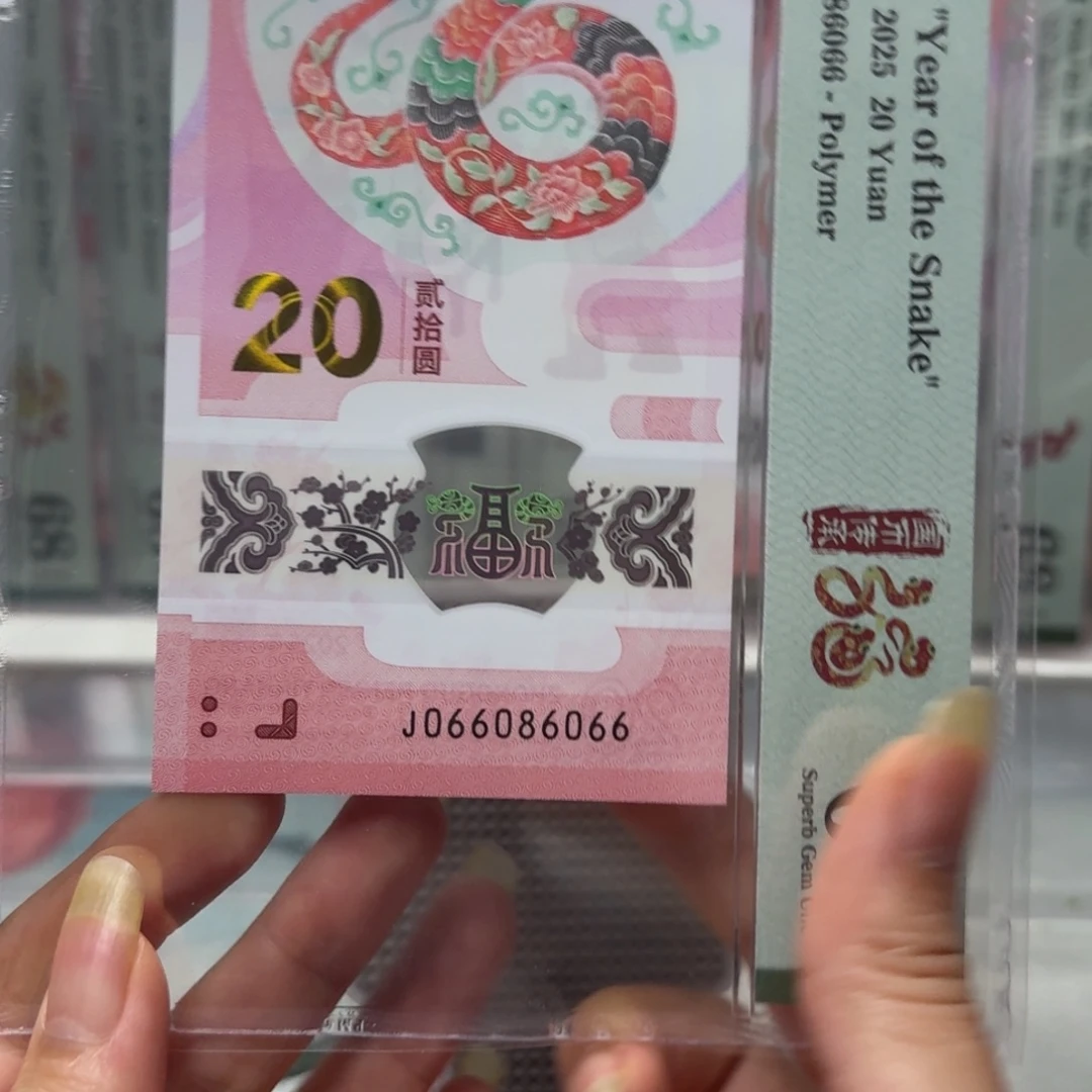 特***谱塑料蛇钞J066086066