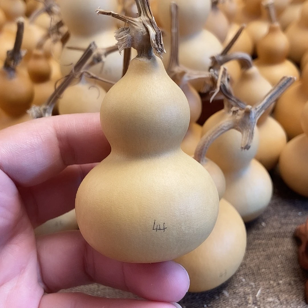 文玩葫芦 完美主义者 慎拍44