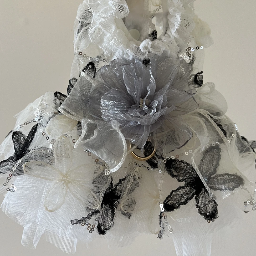 狗狗衣服夏季薄款黑色婚纱蕾丝蓬蓬裙小型犬泰迪宠物洛丽塔高定裙