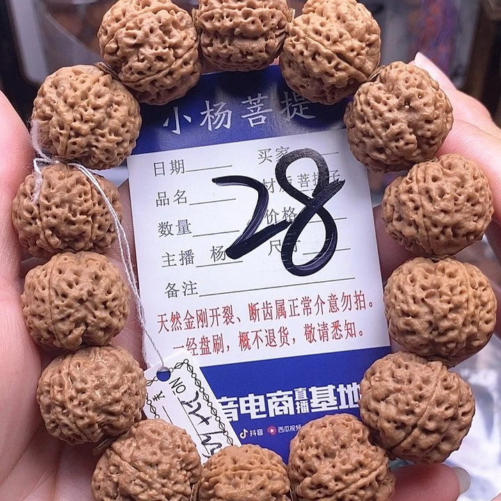 金刚菩提手串22.5/23铁骨双龙