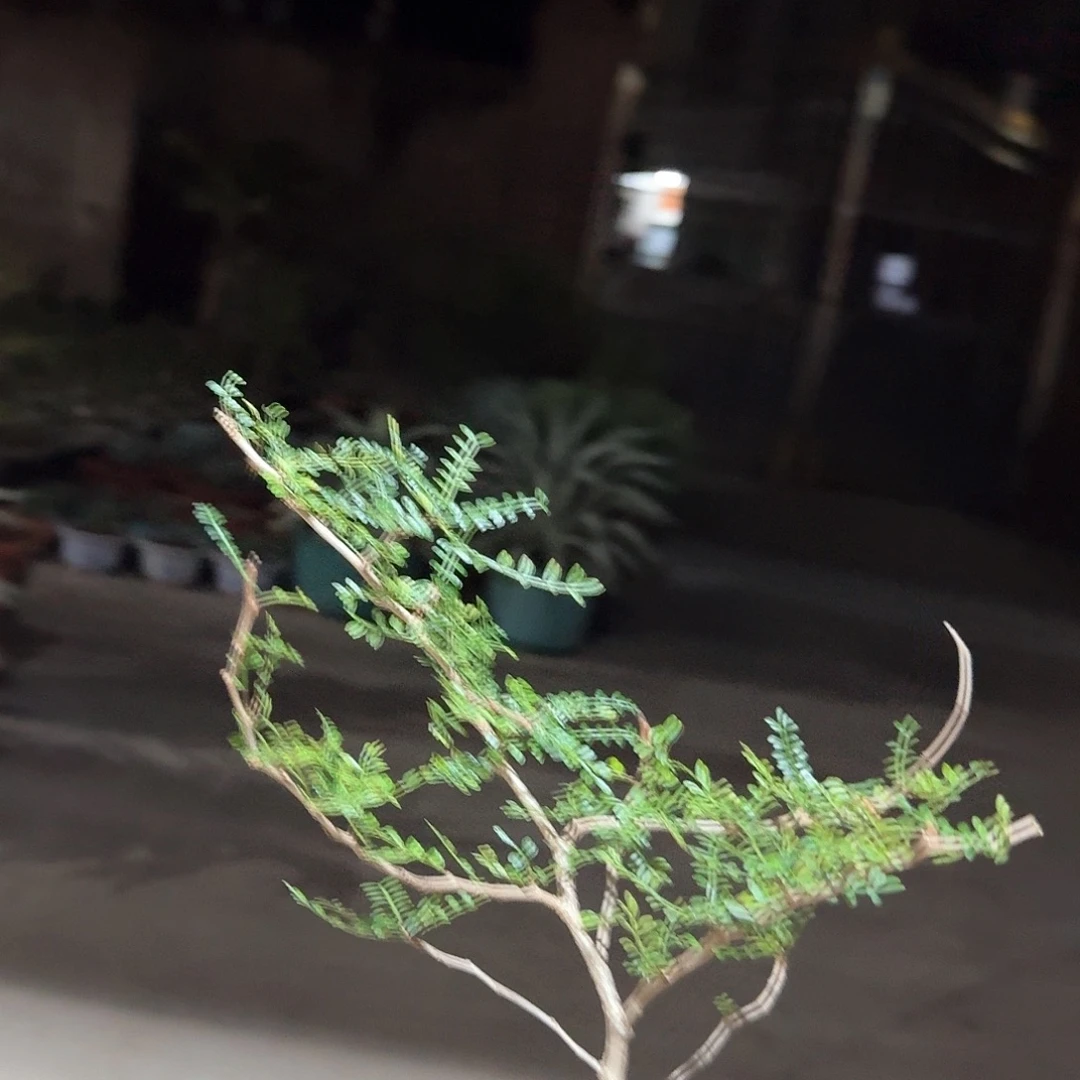 根插象足漆一一一