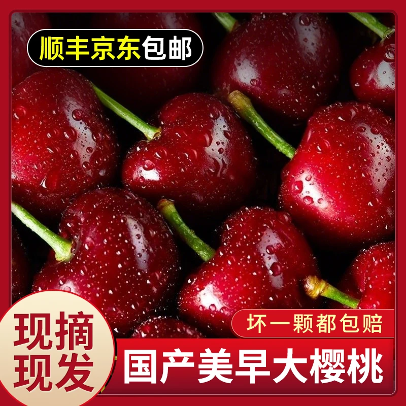 S1【顺丰/京东】正宗新鲜国产美早大樱桃整箱5斤装坏果包赔脆甜多汁