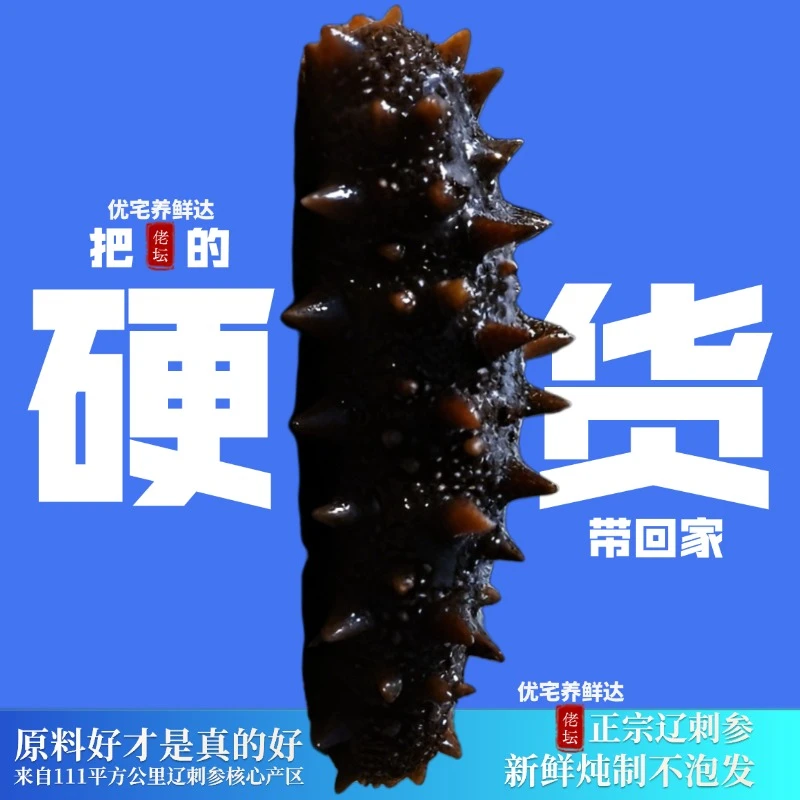 【佬坛硬货】一个月量鲜蒸海参（买4盒送1盒3只装）到手31只，福利快抢