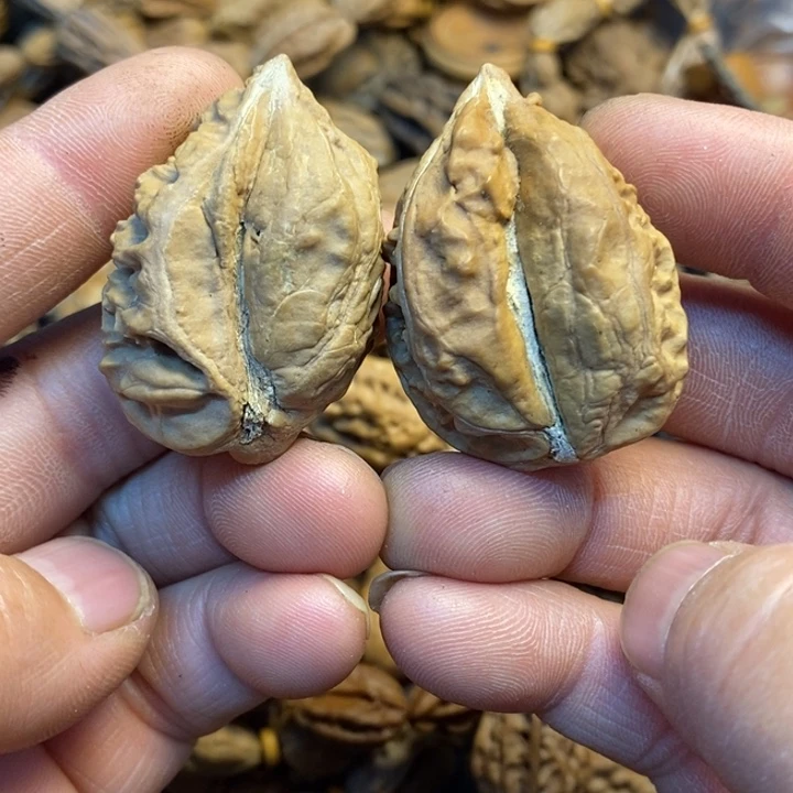 桃核吊坠娜姐真的49