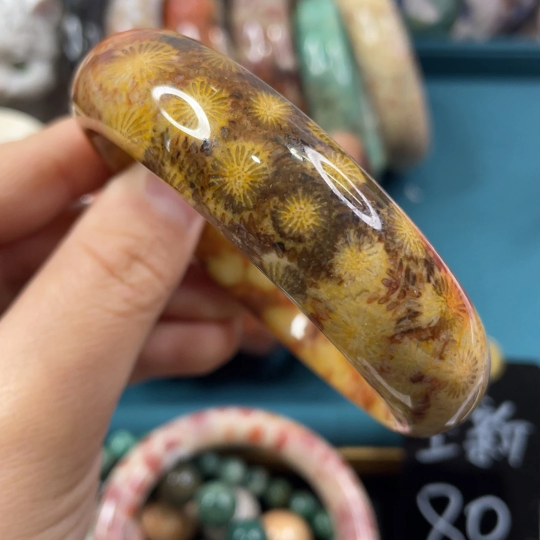 未镶嵌手镯硅化玉