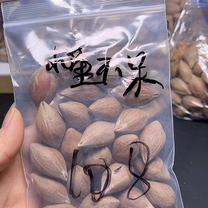 小***呆手串/手链橄榄核111