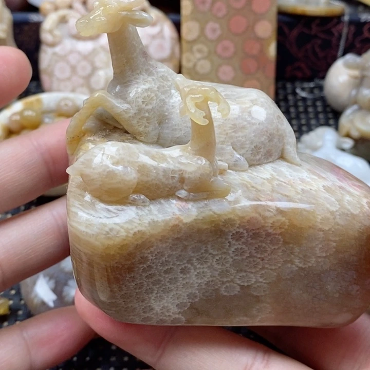 硅化珊瑚（珊瑚玉）颈饰未镶嵌