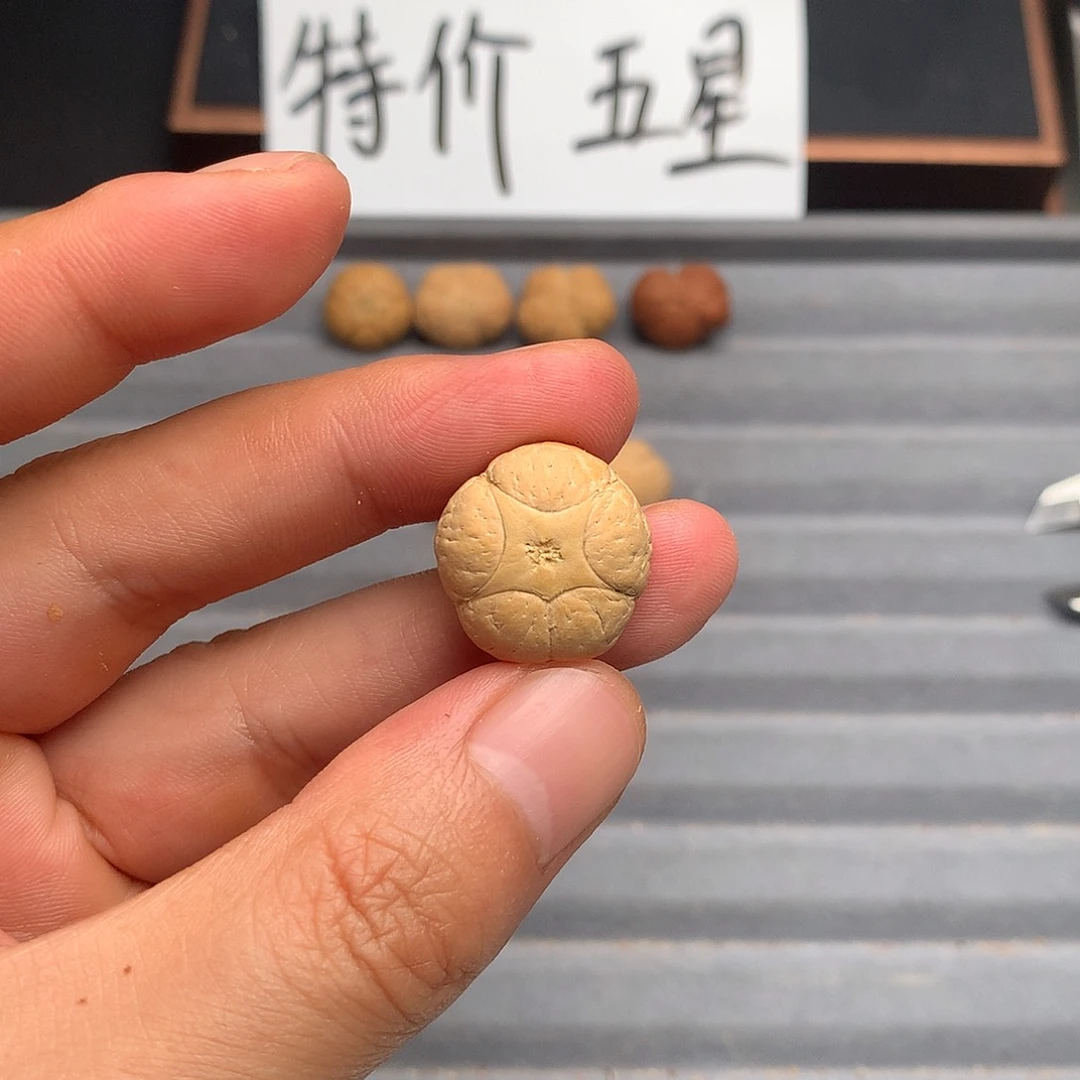 凤眼菩提吊坠?*亮20五星，非质量问题开孔不退