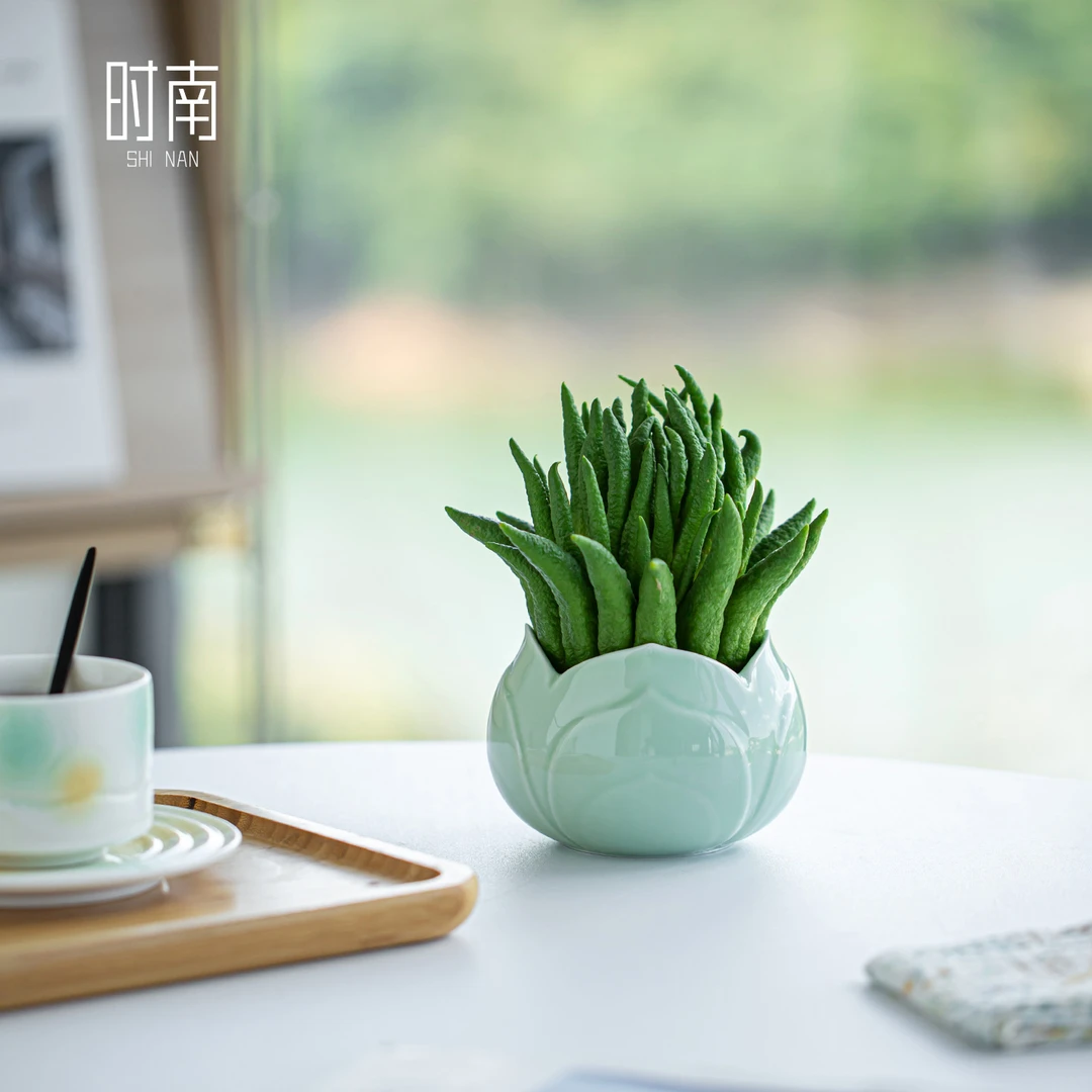 可水养金华佛手柑托盘水培器皿佛手瓜专用陶瓷花瓶佛手摆放盘