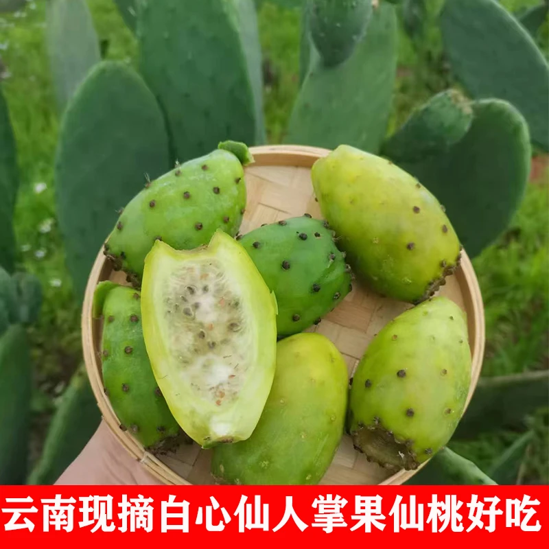 云南新鲜仙人掌果稀有罕见水果仙桃白心仙人掌果子清甜无酸仙桃