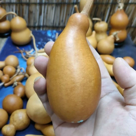 白***爷木葫芦！！！！！！！！！！