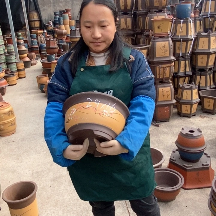 紫砂花盆盆栽花卉苗木种植