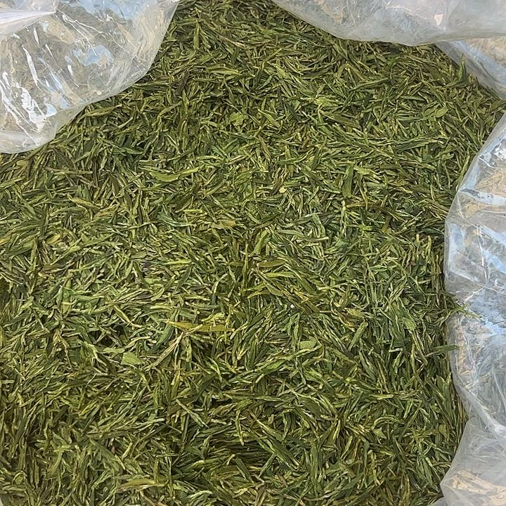 龙井新茶一斤现场收茶