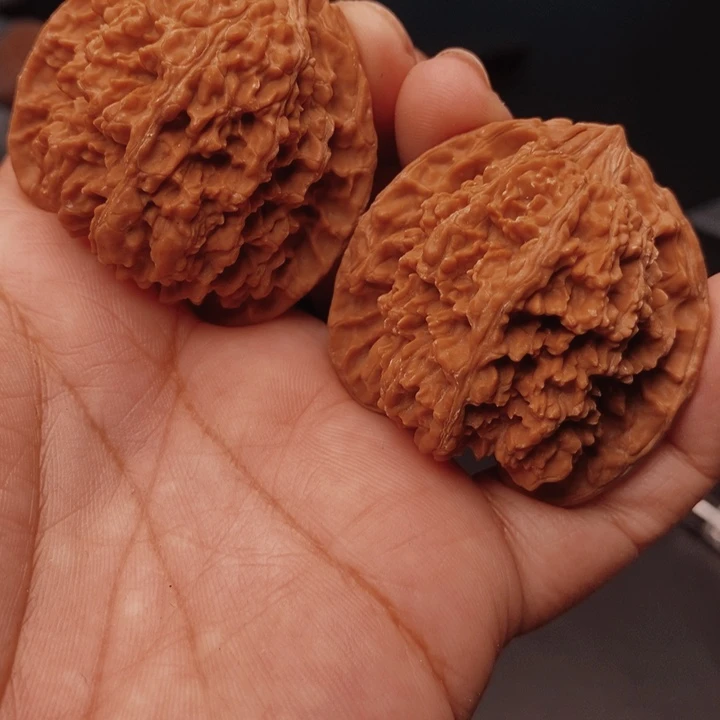 核桃百花山43尺核桃