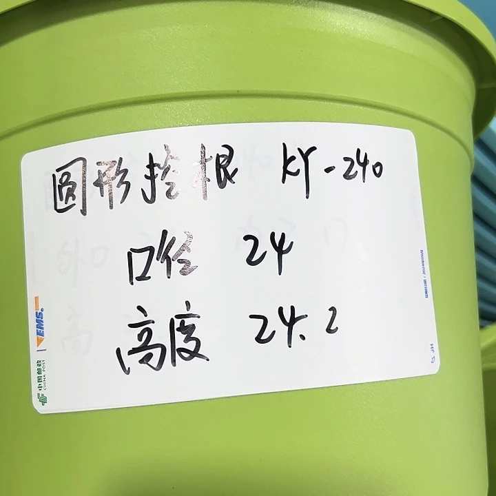 正品圆控口24高24果绿无托8只