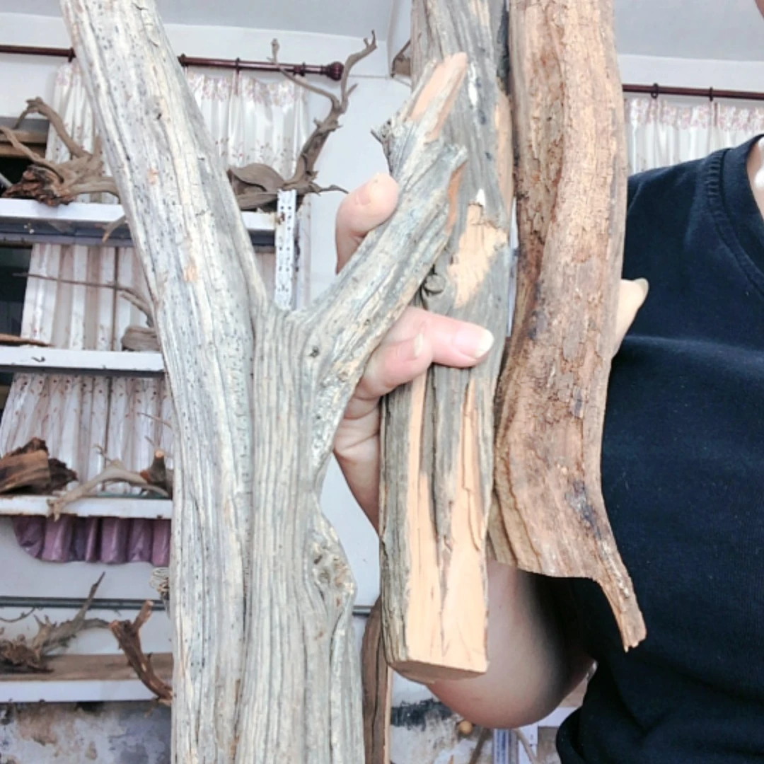 【闪购商品】香榧木用***味22111111111111