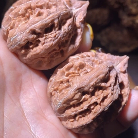 文玩核桃把件东北野生楸子小美106