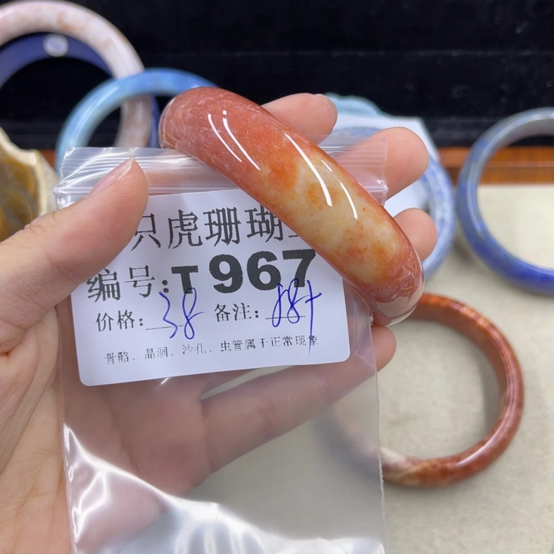 ****】硅化珊瑚（珊瑚玉）h未镶嵌