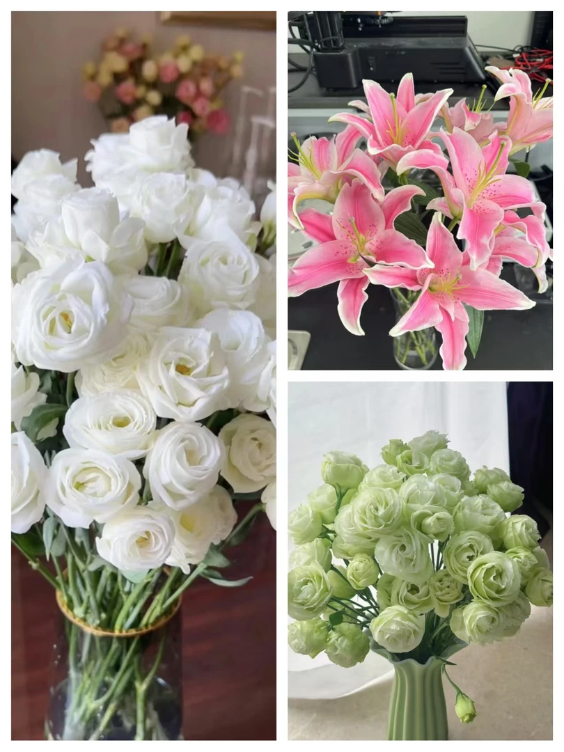 【香水粉百合+白色洋桔梗+绿色洋桔梗】云南鲜花基地直发