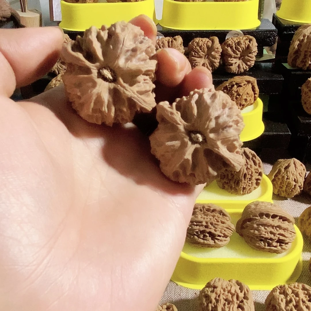 木质类苹果园的小伙伴们都