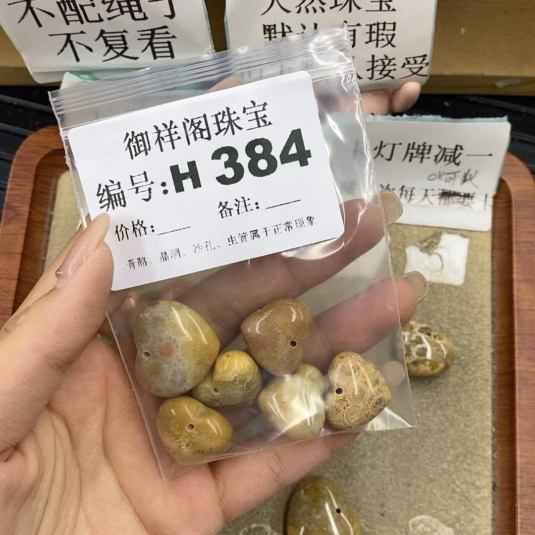 硅化珊瑚（珊瑚玉）未镶嵌颈饰腿***九