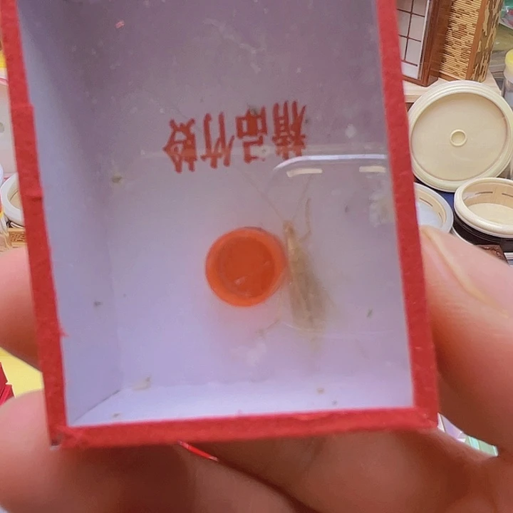丝***儿黑金1啊啊啊啊啊啊啊