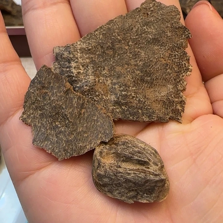 摆件沉香海南野生沉香 多样性发货