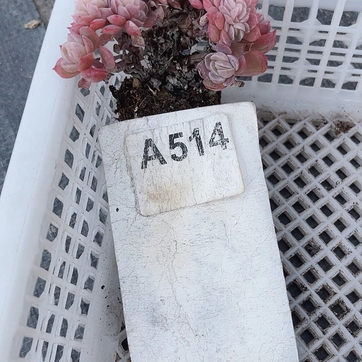 绊**盒514名密密麻麻吗你们