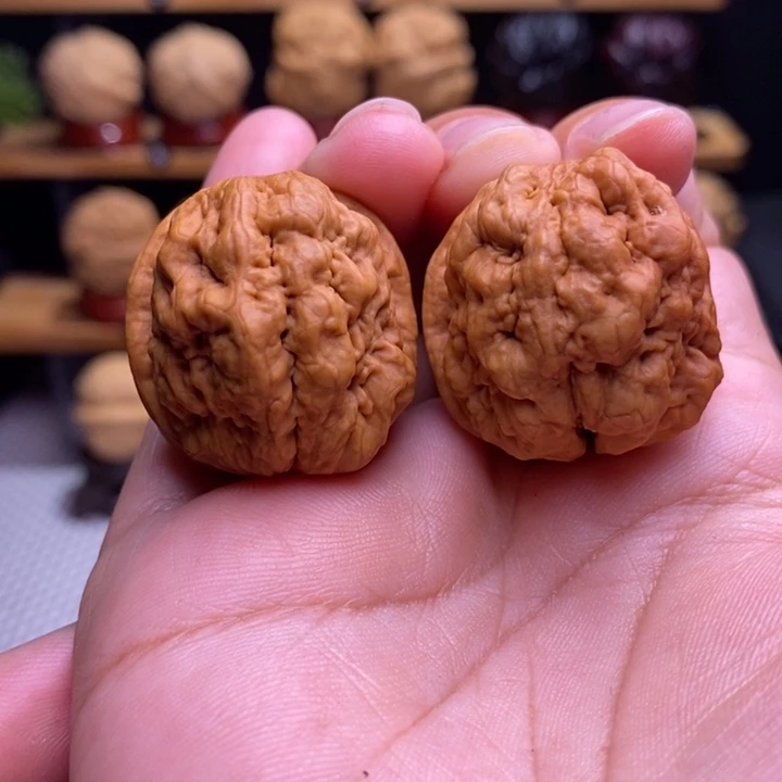 木质类云铁血舍利32号