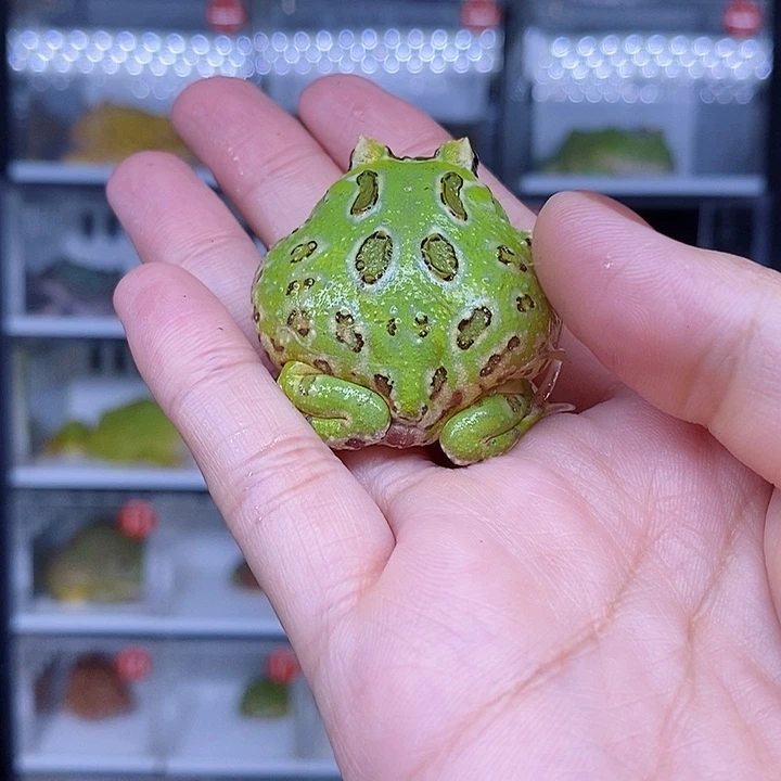 特价秒杀现货特价