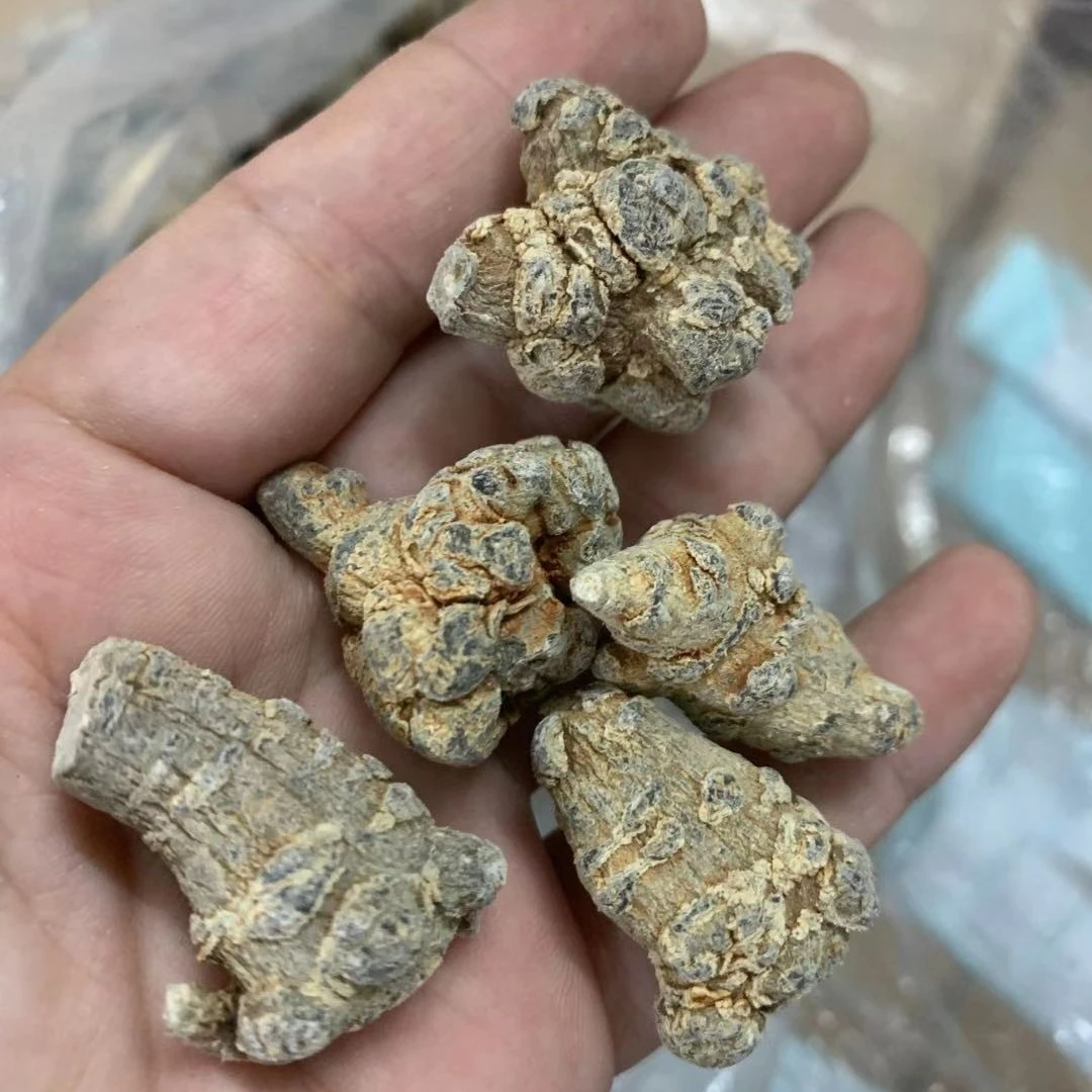 田七   参250g