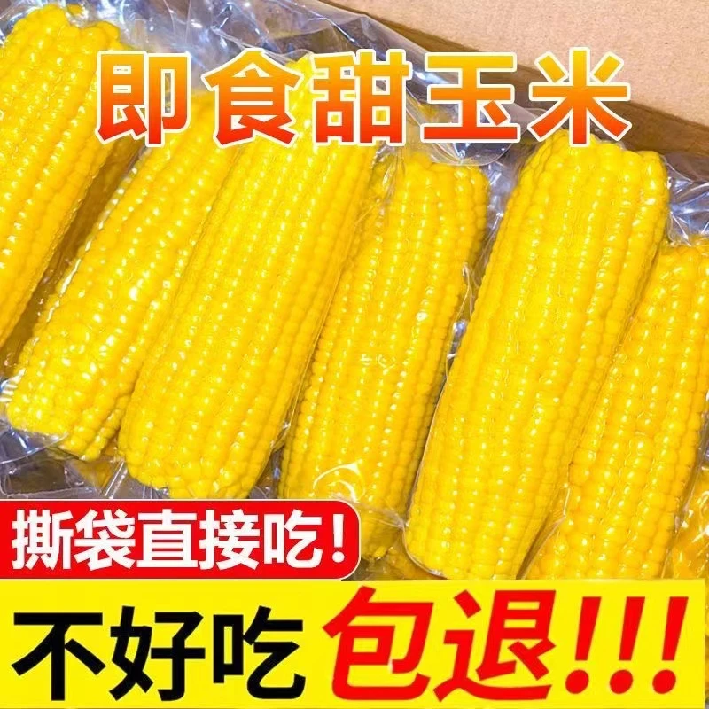 【试吃3根】水果玉米新鲜即食玉米免煮真空包装上班学生代餐