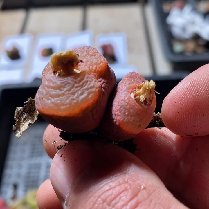 @*21210一个一个一个