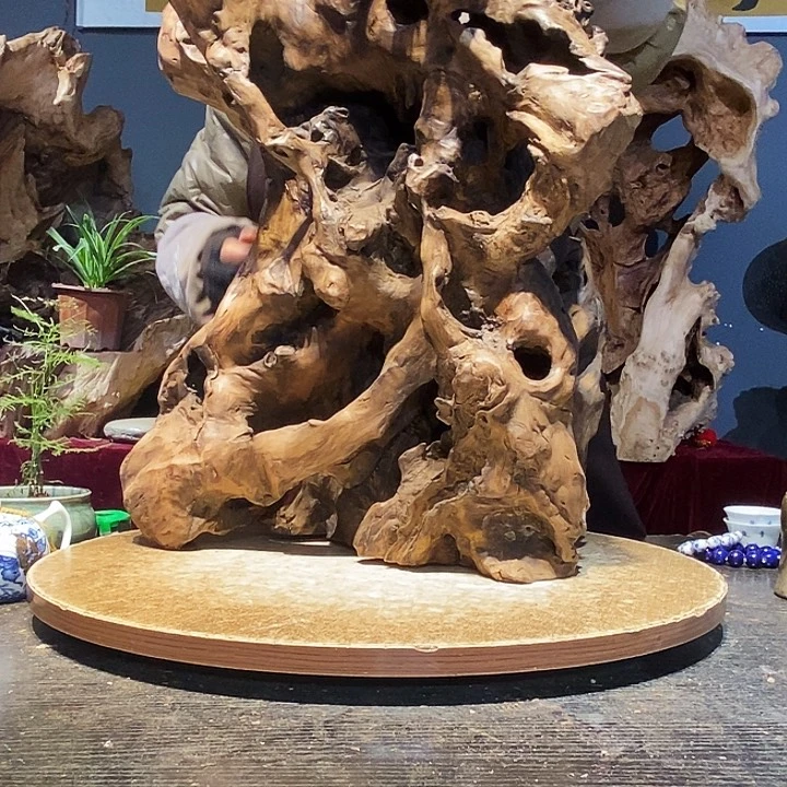 风***化905。株木随行根艺