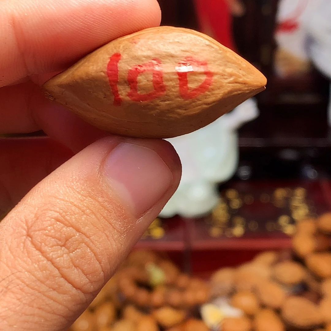 橄榄核手串/手链hbhbhhjbjhhhjjjjj