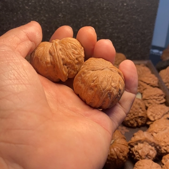 瀚***众南瓜炖1234666个鸡蛋2萤石（处理）