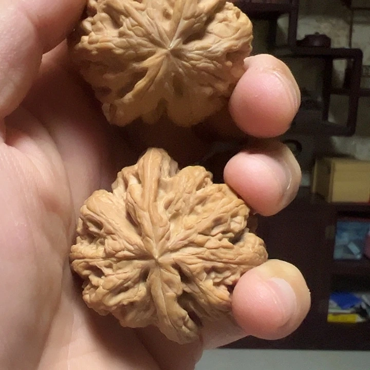 文玩核桃吊坠全品大粗筋