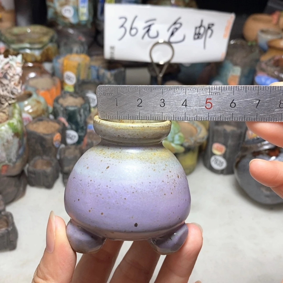 拍5送一个小礼物