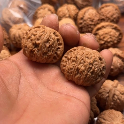 文玩核桃把件用****0白狮子