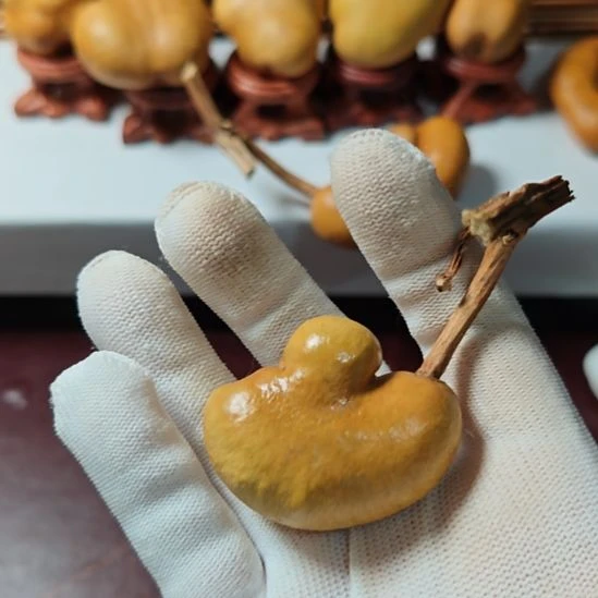 热***圆精品土豆葫芦一物一拍