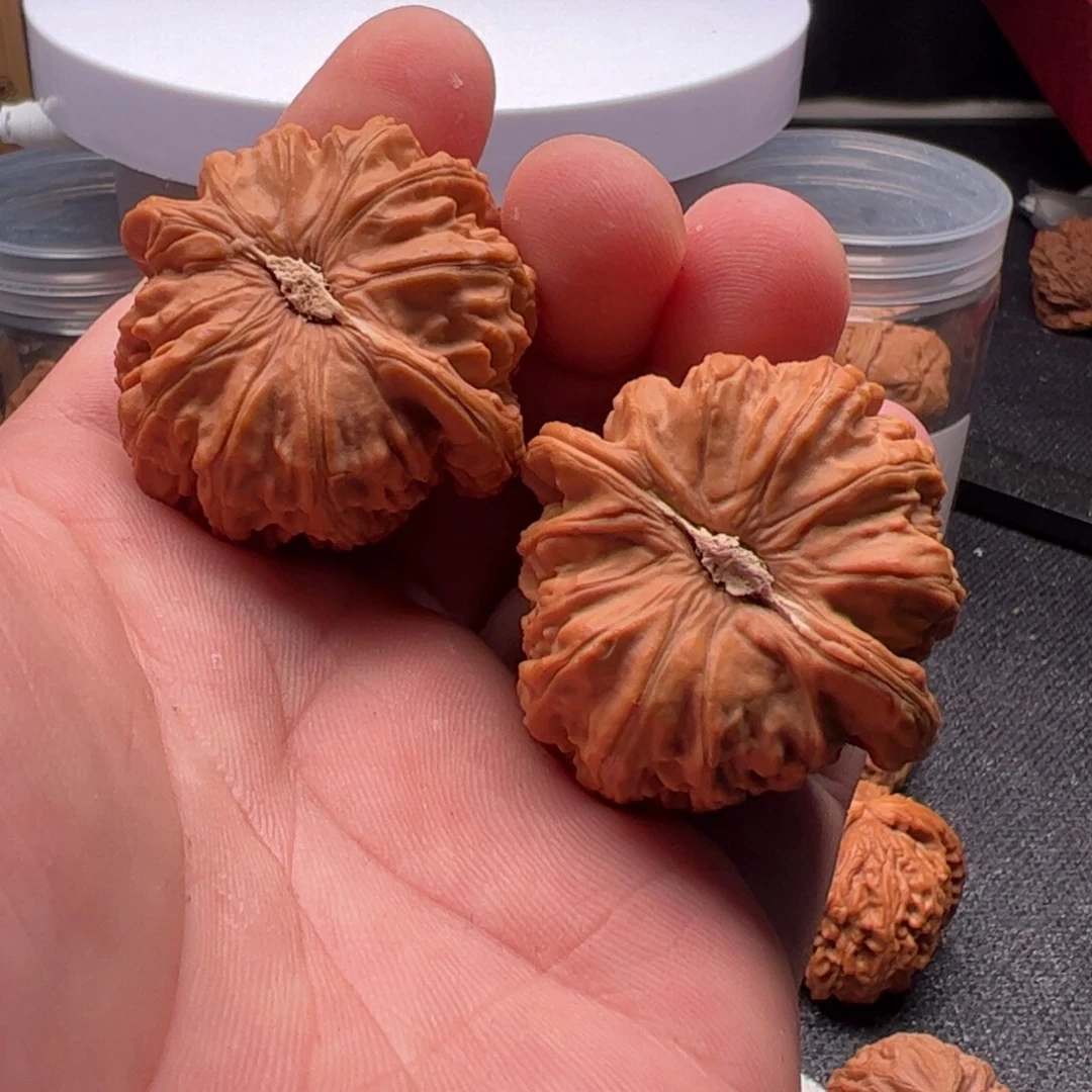 寻***物文玩核桃吊坠42白狮子