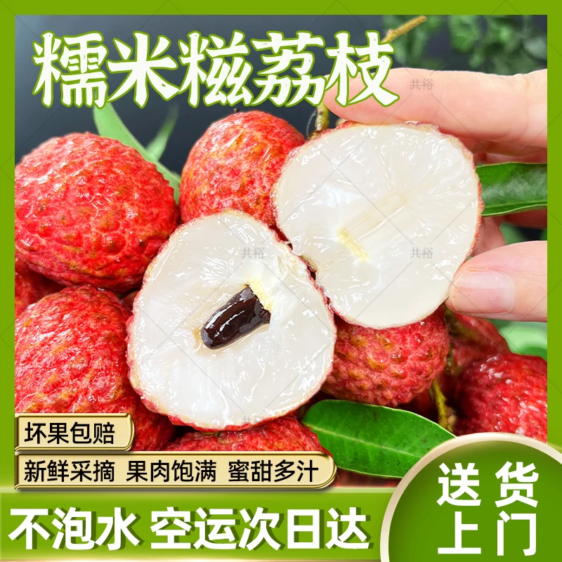 【顺丰次日达】新鲜糯米糍荔枝增城发货现摘带枝不泡水应季水果整箱1/3/5/10斤包邮荔枝同城送广东省