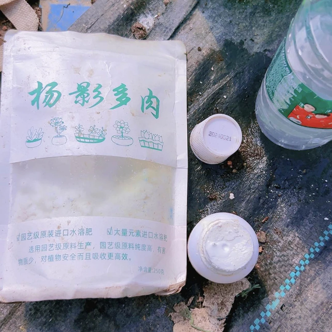 【闪购商品】营养水溶分加杀菌