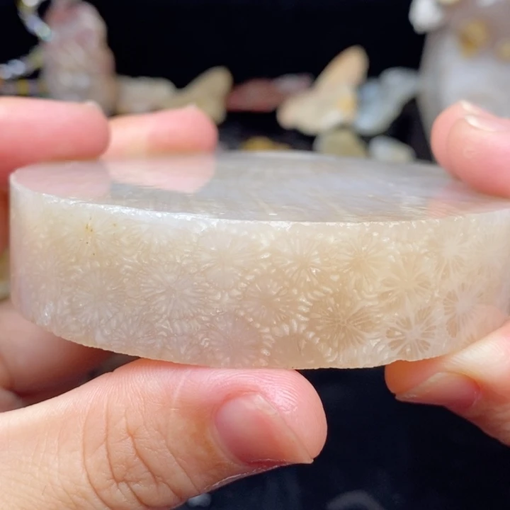 硅化玉未镶嵌颈饰