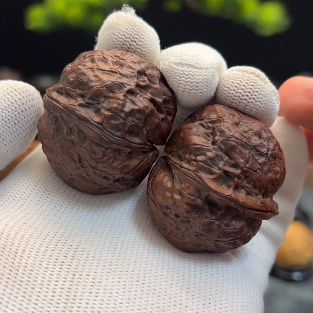 文玩核桃把件小*狗41mm七彩元宝蟾全品