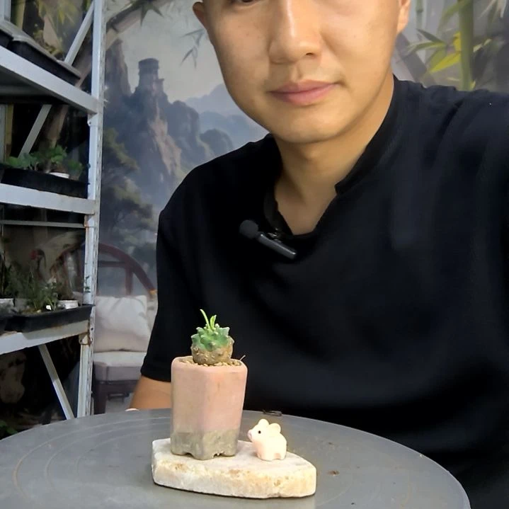 蓬***头中青园艺一物一拍53