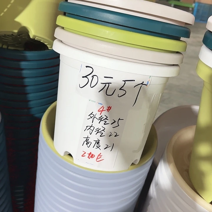 四季4#口径25白色8个无托